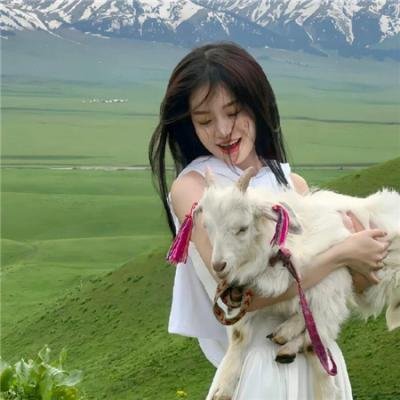 森林奇旅